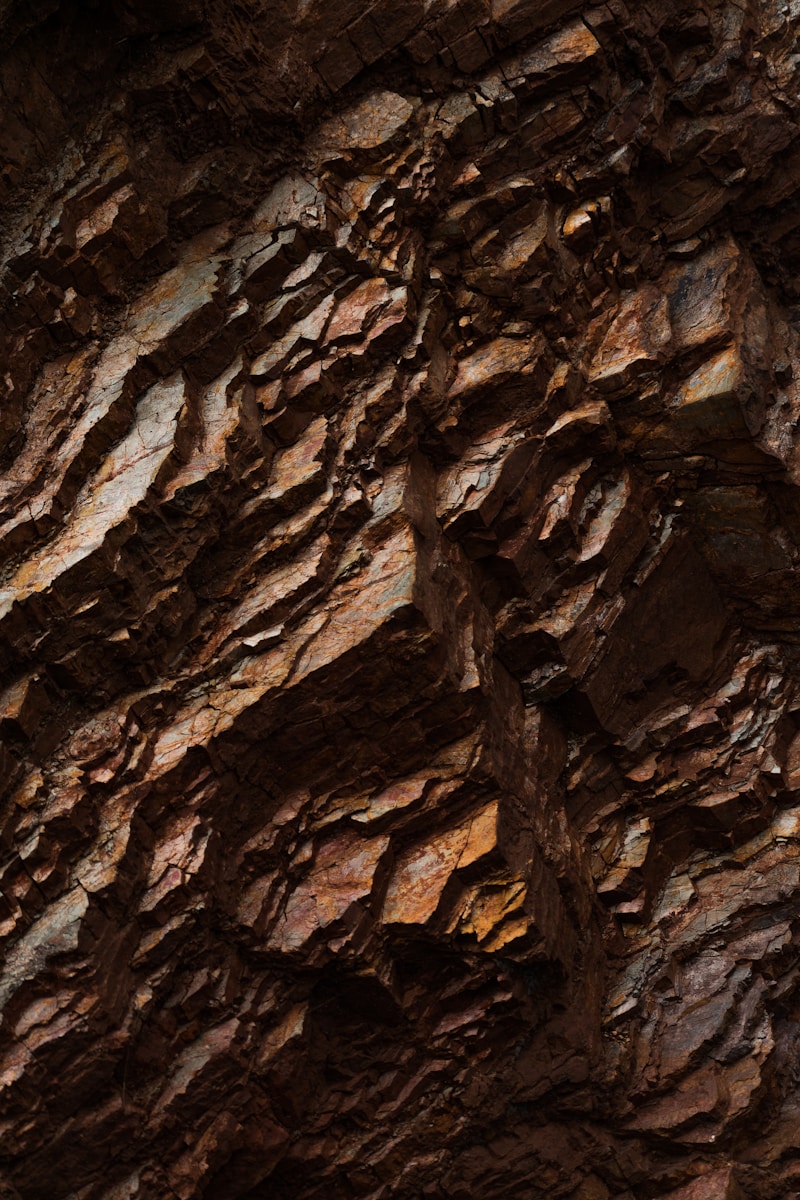A bird is perched on a rock wall